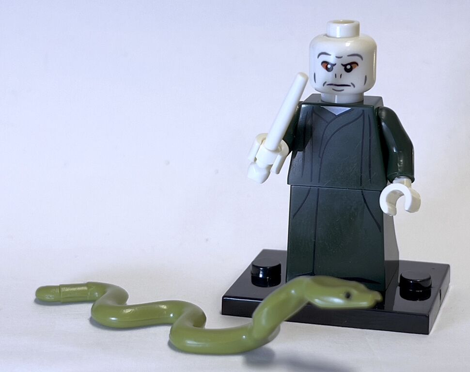 5181478 Lord Voldermort Harry Potter